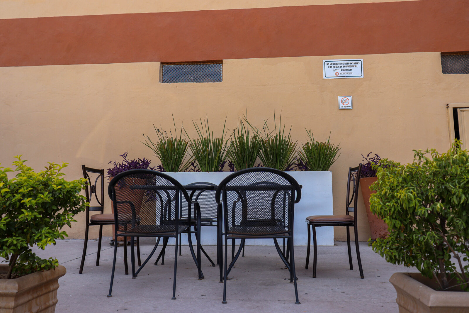 Terraza con plantas